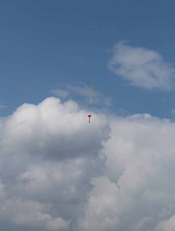 img_8660 raketka na 10 ns tym toma kocourka - navrat